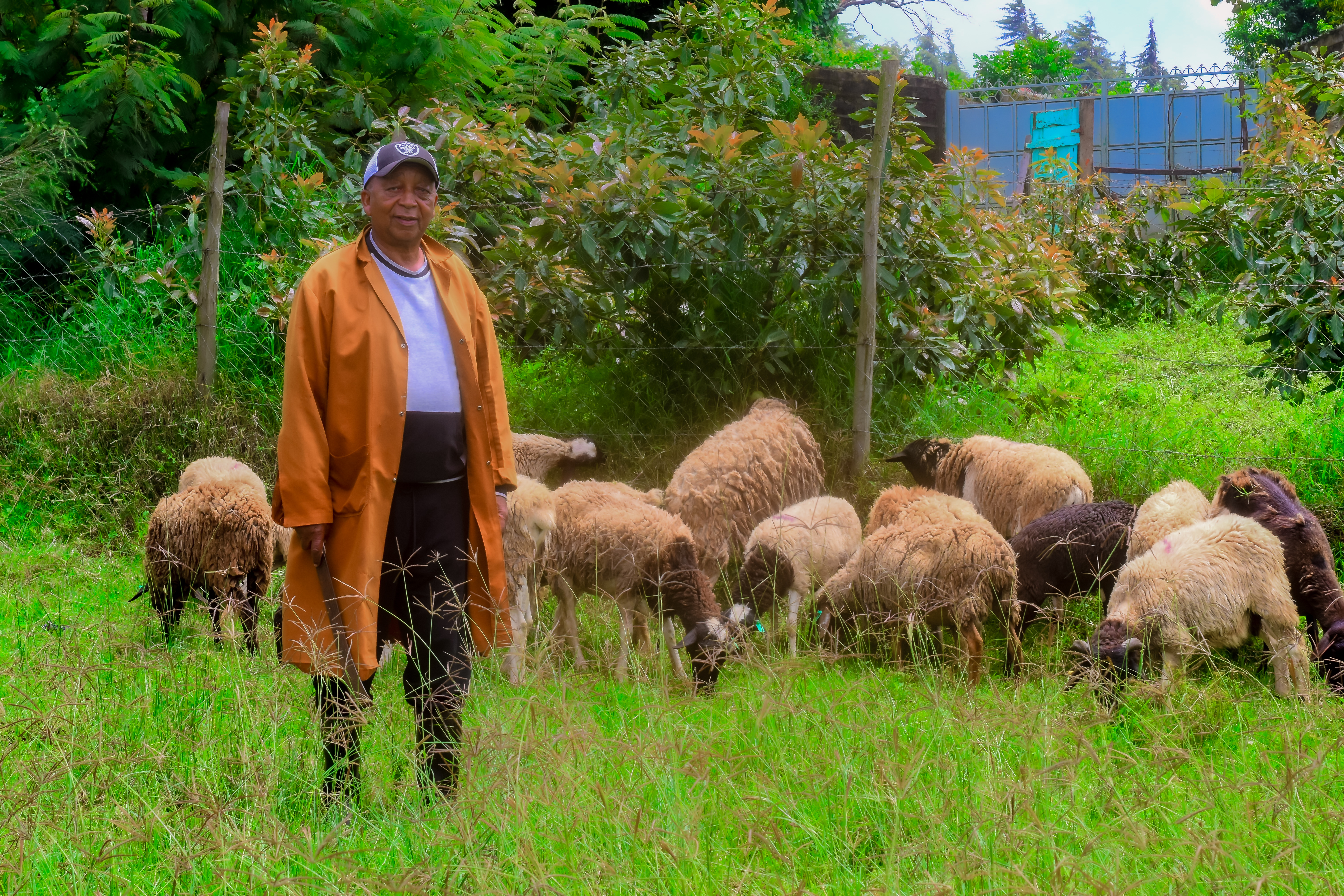 Farming Operations