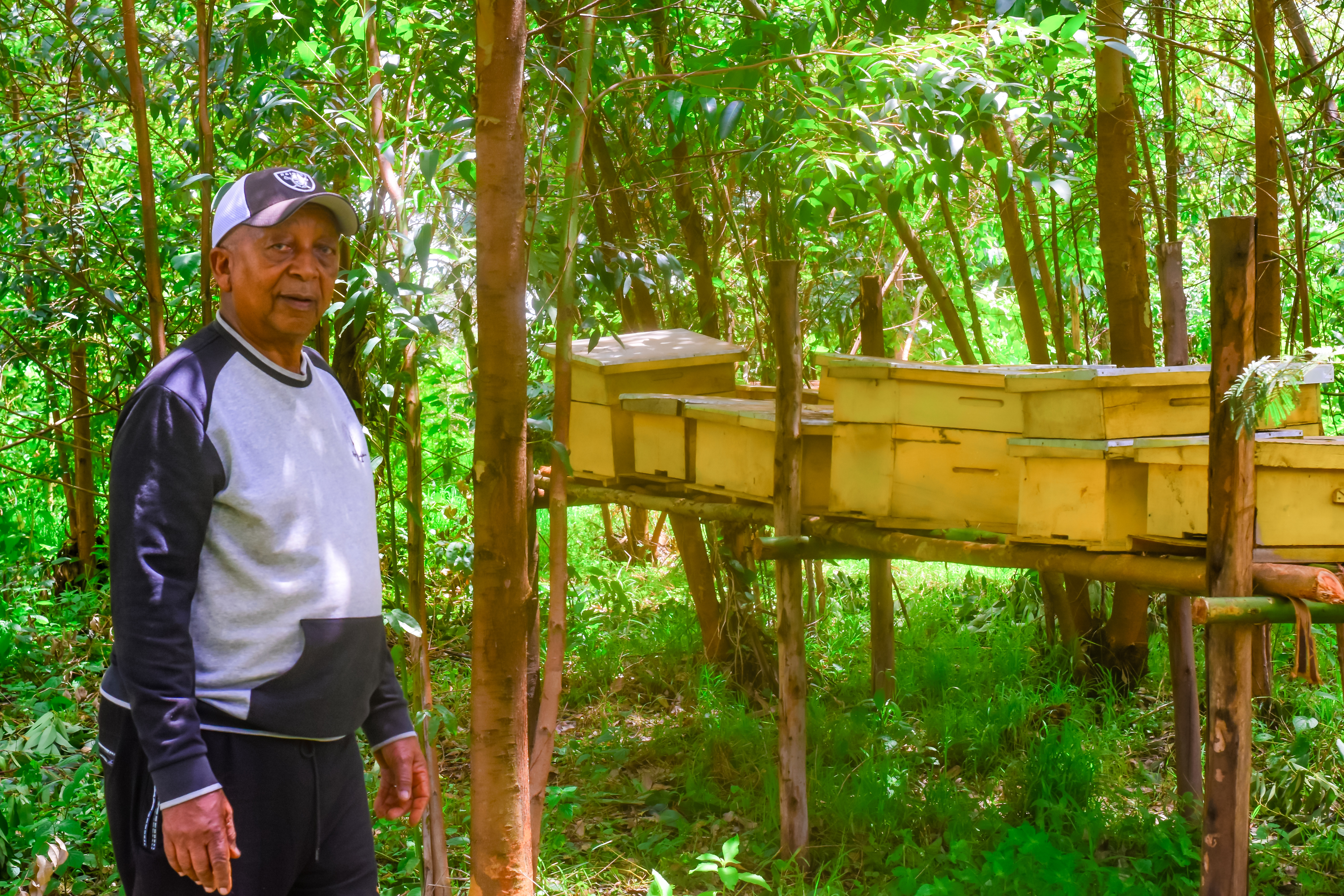 Beekeeping Services